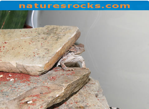 All Types Rocks All Types Rocks